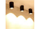 Lampada montata di superficie del punto del soffitto della PANNOCCHIA LED di 7W 10W 15W 20W per domestico/ufficio