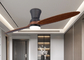 Luce di legno solida integrata del ventilatore da soffitto di due foglie per il salone