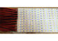 CC leggera principale rigida 5V della striscia dei pc della banchina 144 di SMD5630 IP20 LED